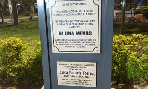 Placa - "Ni una menos"